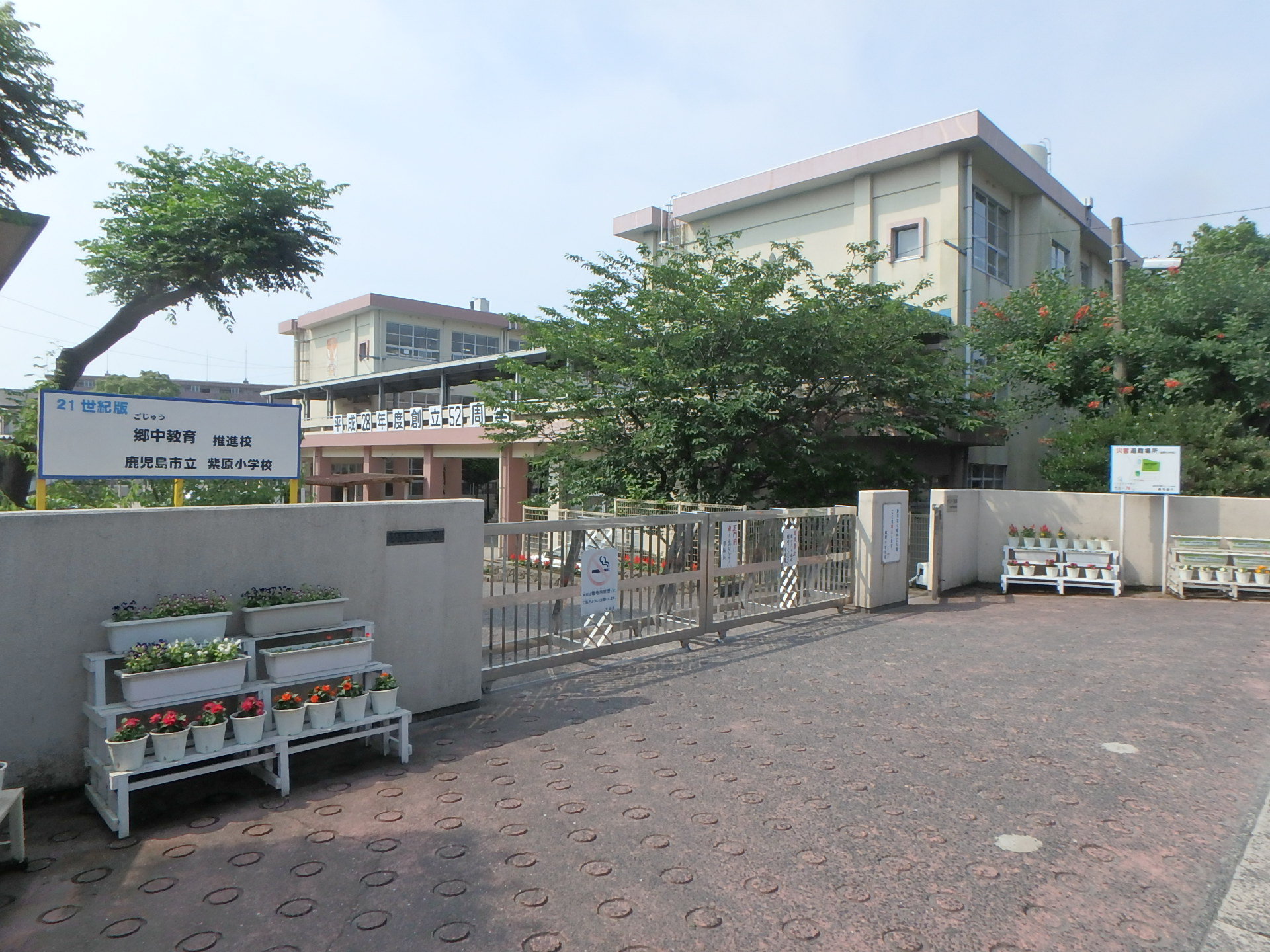 小学校 施設名称：鹿児島市立紫原小学校 距離：900m